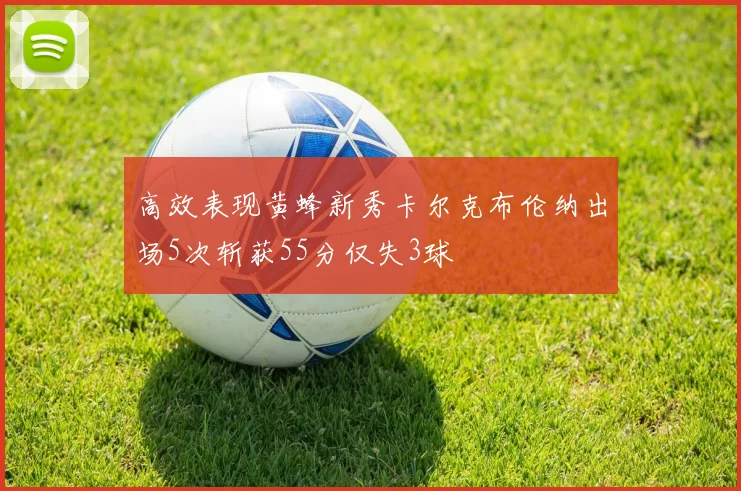 高效表现黄蜂新秀卡尔克布伦纳出场5次斩获55分仅失3球