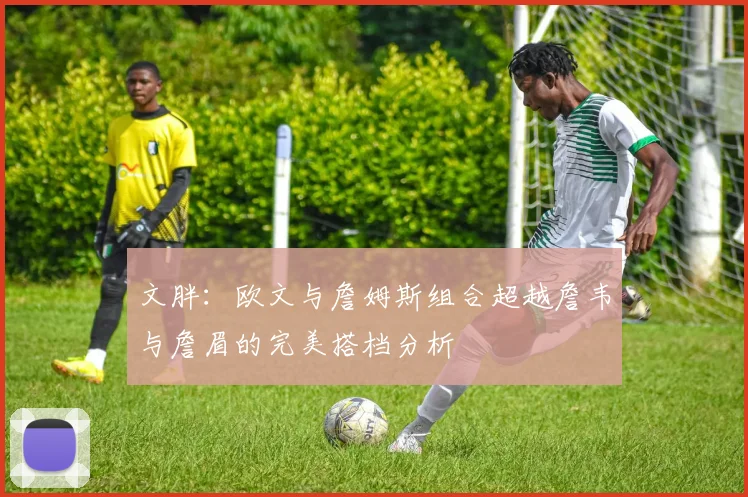 文胖：欧文与詹姆斯组合超越詹韦与詹眉的完美搭档分析