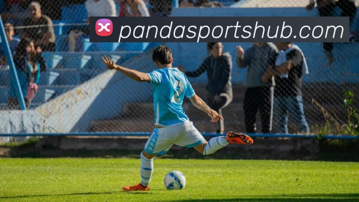 熊猫体育平台生态图