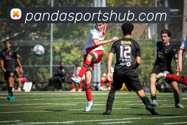 熊猫体育全站App